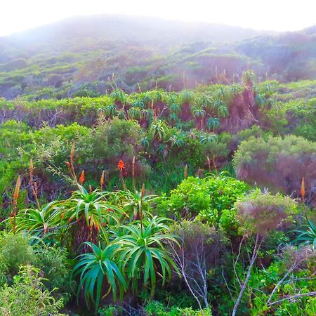 The Stargazing Cube - Misty Mountain Reserve Stormsrivier Esterno foto